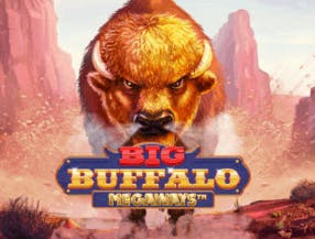 game logo by Skywind Group on machospin.org
