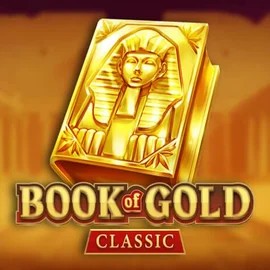 game logo by Playson on machospin.org